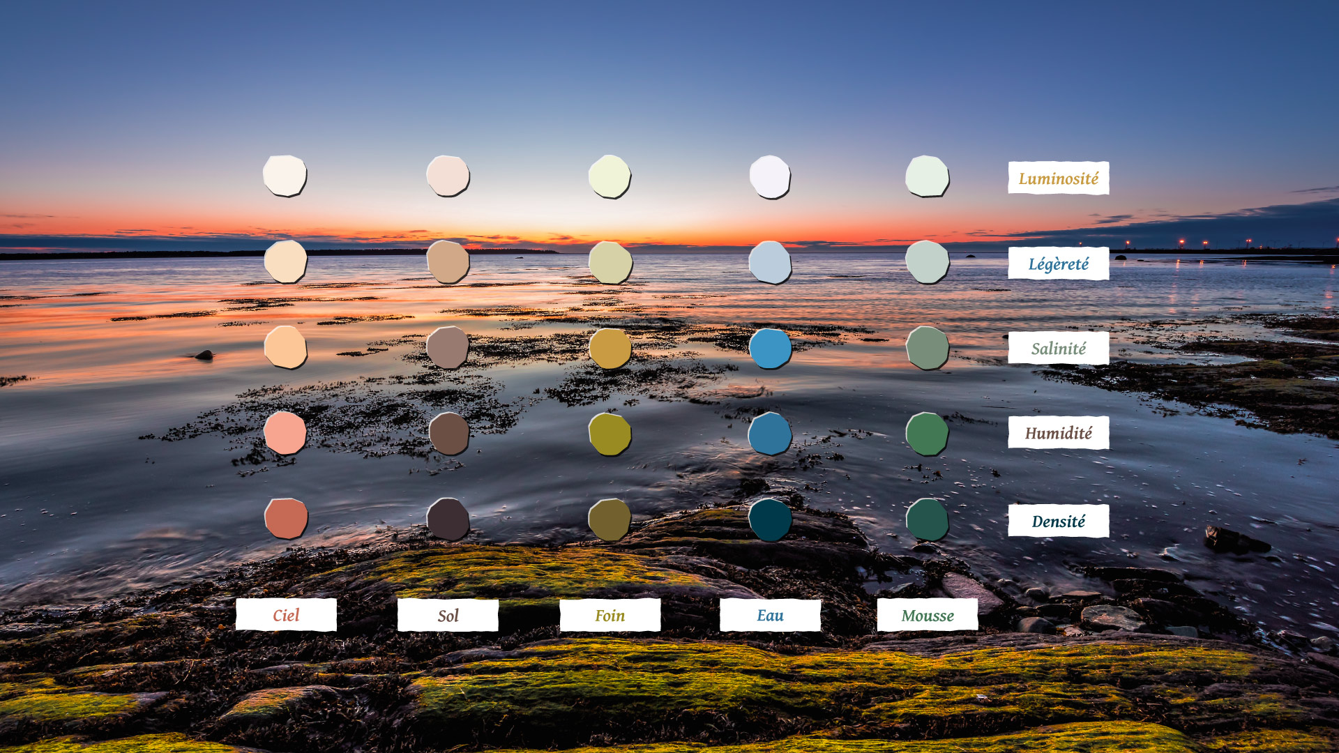 palette-couleurs-parc-marin-saguenay-saint-laurent