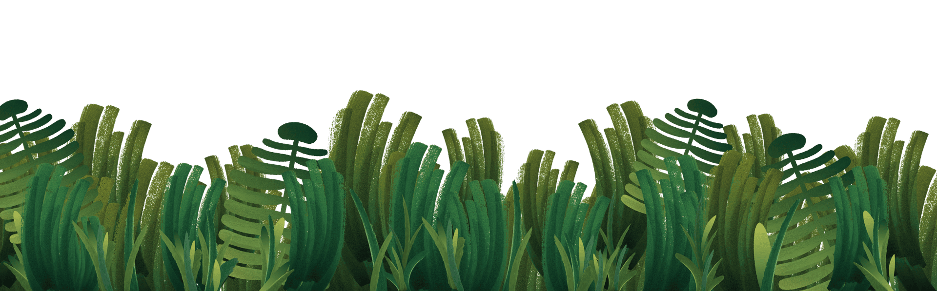 decor-feuillage-transparent-campagne-snap